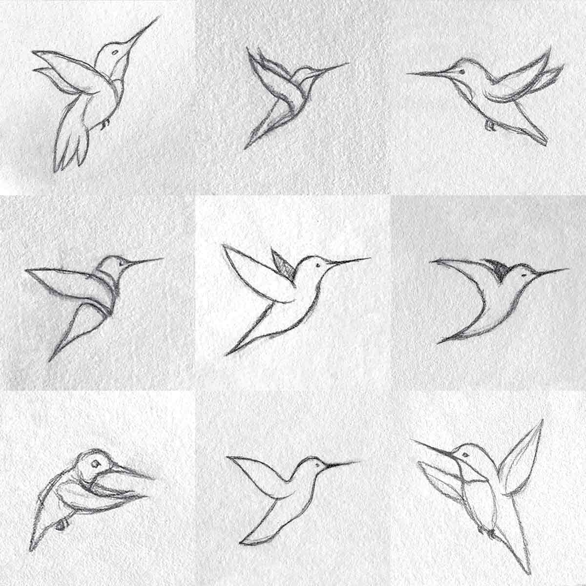 nine flying hummingbird logo sketches